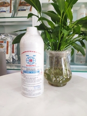 Hương Thực Phẩm Dạng Nước Haroma