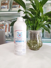 Hương Thực Phẩm Dạng Nước Haroma