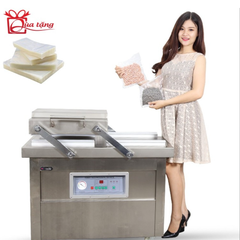 Máy hút chân không DZQ400X2