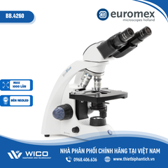 Kính hiển vi phân cực Euromex BB.4260-P | Độ phóng đại 1000X