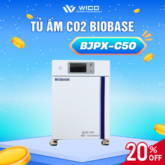 Tủ Ấm CO2 Biobase Màn Hình LCD BJPX-C50 / BJPX-C80 / BJPX-C160