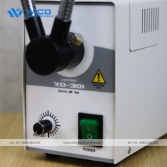 Đèn Râu Đôi Halogen XD-301-150W | Cao Cấp