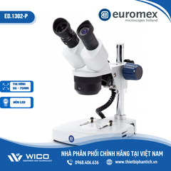 Kính hiển vi soi nổi Euromex ED.1302-P | 10/30 lần