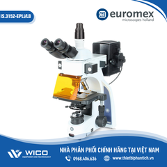 Kính Hiển Vi Huỳnh Quang Euromex IS.3153-EPLi/LB | 1000 lần