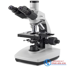 Kính hiển vi phản pha Euromex 86.341 | Độ phóng đại 1000X