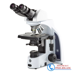 Kính Hiển Vi Phản Pha Euromex IS.1158-PLPHi | 1000 lần
