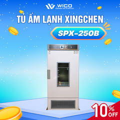 Tủ Ấm Lạnh Xingchen Trung Quốc SPX-B (Buồng Inox)