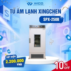 Tủ Ấm Lạnh Xingchen Trung Quốc SPX-B (Buồng Inox)