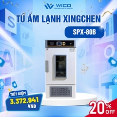 Tủ Ấm Lạnh Xingchen Trung Quốc SPX-B (Buồng Inox)