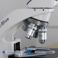 Kính hiển vi sinh học 1 mắt Euromex BB.4240 | Độ phóng đại 600X