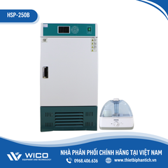 Tủ Vi Khí Hậu Xingchen Trung Quốc HSP Series