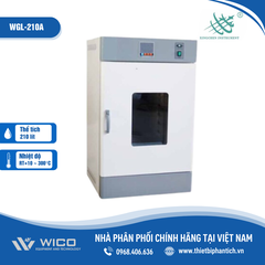 Tủ Sấy 300 Độ C Xingchen Trung Quốc WGL-A Series | 20 - 210 Lít