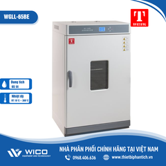Tủ sấy đối lưu cưỡng bức 65 lít Trung Quốc WGLL-65BE (Màn hình LCD)