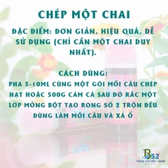 Chép Một Chai - Sa Phạm