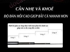 Cần Phi Yến (Điếu Phù) 6.5H