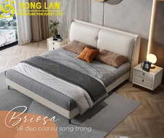 Giường ngủ Briosa GM0115