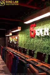 Ghế Gaming Sông Lam SFA1806