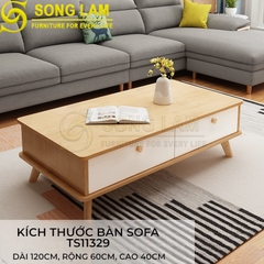 Bàn trà NORDIC TS11329