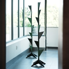 Cây Treo Trăm Đốt [2 phân loại]
