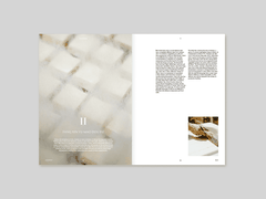 Tạp Chí F ISSUE NO.11 "BEAN"
