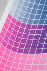 Tranh Riso A3 "Bisexual Flag"