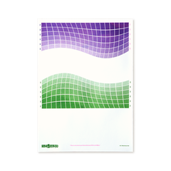 Tranh Riso A3 "Genderqueer Flag - We're queer, we're here"