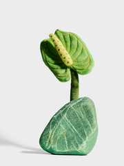 Móc khoá H.O.A Plushie [4 loại]