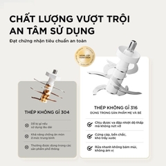 Máy xay ăn dặm 0.3L Bear CH-5H02D24