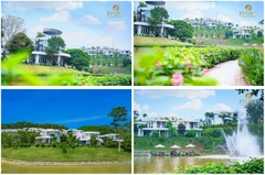 Ivory Villas and Resort