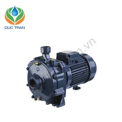 Máy bơm Ebara CDA ly tâm 2 tầng cánh đầu gang