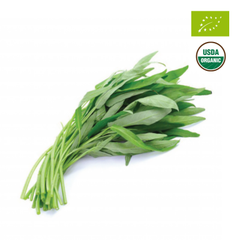 VINAMIT-RAU MUỐNG HỮU CƠ 300g