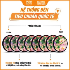 Tranh Hoằng Pháp Tròn Hoa Sen Hồng Thanh Khiết Bình An DecorNow HD873
