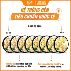 Tranh Hoằng Pháp Tròn Hoa Sen Vàng Cao Quý Yên Bình DecorNow HD908