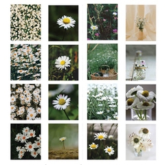 Sách - Không Ai Có Thể Làm Bạn Tổn Thương Trừ Khi Bạn Cho Phép