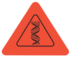 Sách - Cẩm Nang Khám Phá Cơ Thể Người (TB 2025)