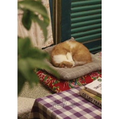 Sách - Ôm Những Mộng Mơ Đi Qua Tuổi Trẻ