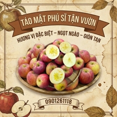 Táo Mật Phú Sĩ Tận Vườn