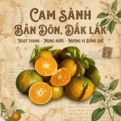 Cam Sành vườn Lương Đình Organic