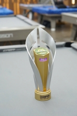 Cúp kim loại sang trọng