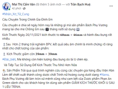 Bách Phụ Vương 40 Viên Hỗ Trợ Điều Trị U Xơ Tử Cung, U Xơ Tuyến Vú, U Xơ Tiền Liệt Tuyến, Giảm Sự Phát Triển của U Xơ Tử Cung, U Xơ Tuyến Vú, U Xơ Tuyến Tiền Liệt, Phì Đại Lành Tính Tiền Liệt Tuyến Phan An Green Nine's Beauty