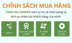 Dung dịch vệ sinh phụ nữ và nam giới Feminine Hyginene Wash tinh chất +NMN Phan An Garden Vũ Trụ Khỏe Đẹp