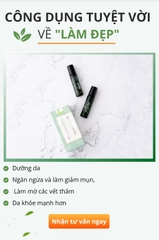 Serum trị mụn tinh chất tràm trà Phan An Garden Vũ Trụ Khỏe Đẹp