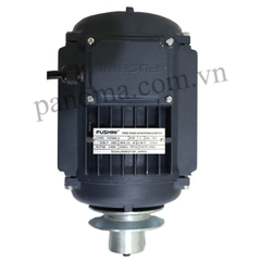 Motor Fushini quạt từ 1.1 KW tới 0.18KW