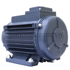 Motor Fushini quạt từ 1.1 KW tới 0.18KW