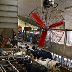 Quạt đẩy gió công nghiệp Multifan