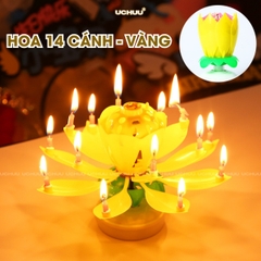Nến Sinh Nhật Hoa Sen