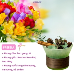Lọ Khuếch Tán Tinh Dầu