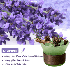 Lọ Khuếch Tán Tinh Dầu