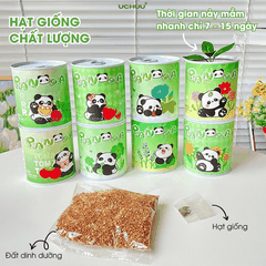 Kit Hạt Giống