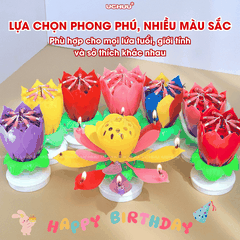 Nến Sinh Nhật Hoa Sen